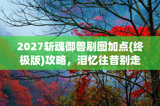 2027斩魂御兽刷图加点{终极版}攻略，泪忆往昔别走情