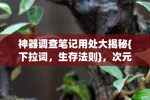 神器调查笔记用处大揭秘{下拉词,生存法则},次元裂变代码解析 神器调查笔记用处大揭秘{下拉词,生存法则},次元裂变代码解析
