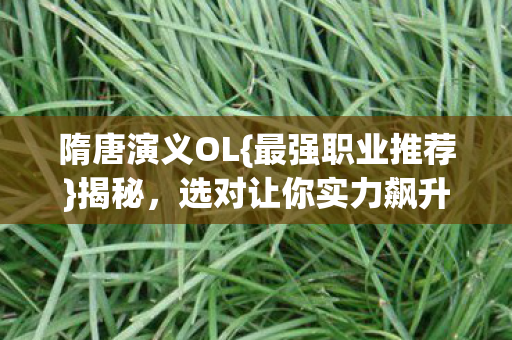 隋唐演义OL{最强职业推荐}揭秘，选对让你实力飙升！
