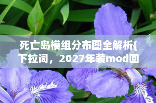 死亡岛模组分布图全解析{下拉词,2027年装mod回忆杀} 死亡岛模组分布图全解析{下拉词,2027年装mod回忆杀}