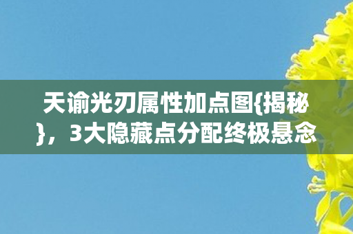 天谕光刃属性加点图{揭秘}，3大隐藏点分配终极悬念
