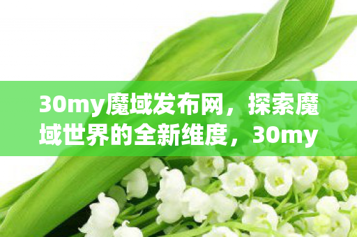 探索魔域世界的全新维度图片