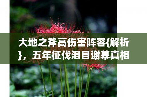 大地之斧高伤害阵容{解析}，五年征伐泪目谢幕真相