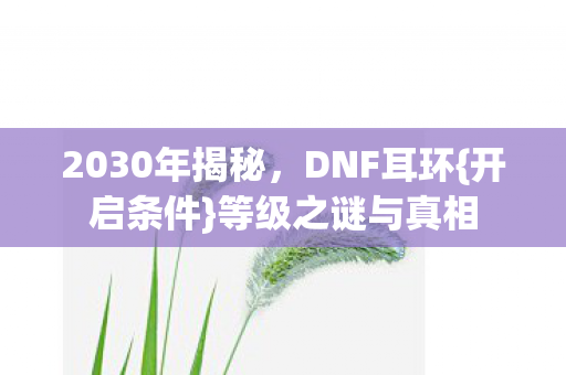 2030年揭秘，DNF耳环{开启条件}等级之谜与真相