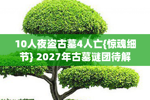 10人夜盗古墓4人亡{惊魂细节} 2027年古墓谜团待解 10人夜盗古墓4人亡{惊魂细节} 2027年古墓谜团待解