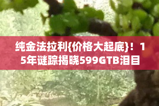 纯金法拉利{价格大起底}！15年谜踪揭晓599GTB泪目真相