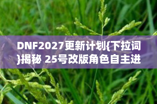 DNF2027更新计划{下拉词}揭秘 25号改版角色自主进化代码激增