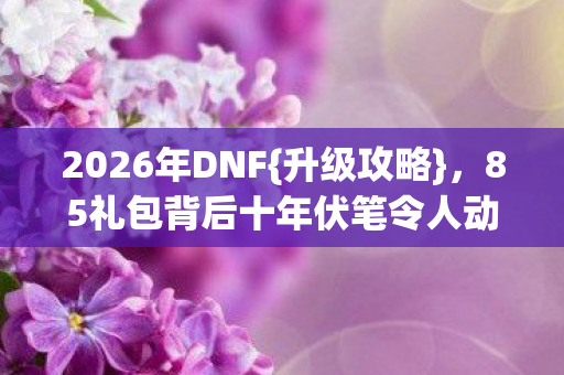 2026年DNF{升级攻略}，85礼包背后十年伏笔令人动容