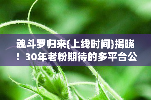 魂斗罗归来{上线时间}揭晓!30年老粉期待的多平台公测来了 魂斗罗归来{上线时间}揭晓!30年老粉期待的多平台公测来了