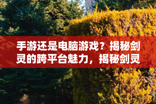 手游还是电脑游戏？揭秘剑灵的跨平台魅力，揭秘剑灵的跨平台魅力，手游还是电脑游戏？