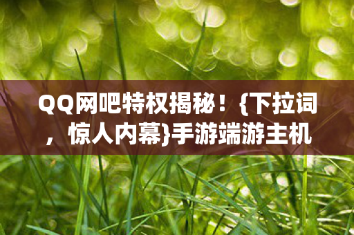 QQ网吧特权揭秘！{下拉词，惊人内幕}手游端游主机体验大不同？