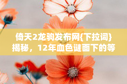 倚天2龙驹发布网{下拉词}揭秘，12年血色谜面下的等待