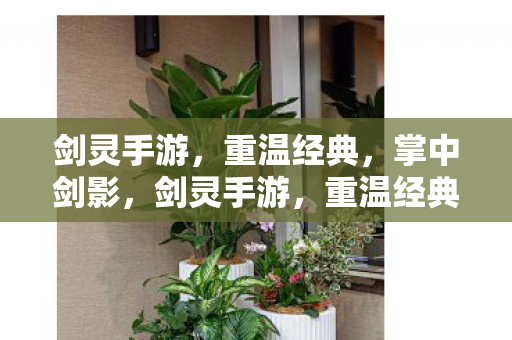 剑灵手游，重温经典，掌中剑影，剑灵手游，重温经典，掌中剑影