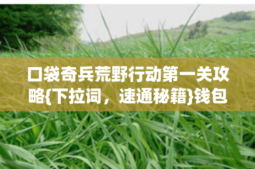 口袋奇兵荒野行动第一关攻略{下拉词，速通秘籍}钱包不献祭