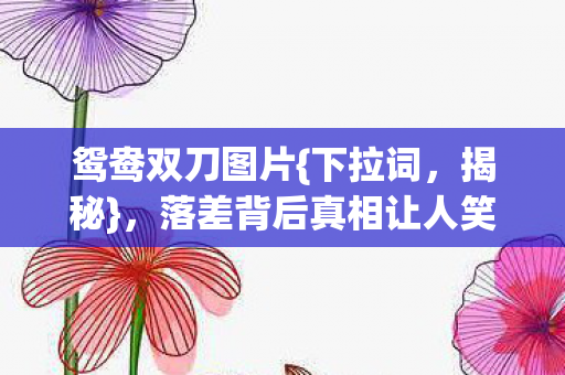 鸳鸯双刀图片{下拉词,揭秘},落差背后真相让人笑中带泪 鸳鸯双刀图片{下拉词,揭秘},落差背后真相让人笑中带泪