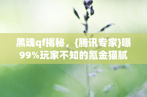 黑魂qf揭秘，{腾讯专家}曝99%玩家不知的氪金猫腻