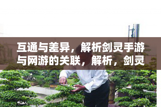 互通与差异，解析剑灵手游与网游的关联，解析，剑灵手游与网游的互通与差异