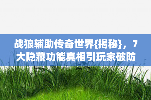 战狼辅助传奇世界{揭秘},7大隐藏功能真相引玩家破防 战狼辅助传奇世界{揭秘},7大隐藏功能真相引玩家破防