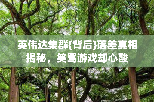 英伟达集群{背后}落差真相揭秘,笑骂游戏却心酸 英伟达集群{背后}落差真相揭秘,笑骂游戏却心酸