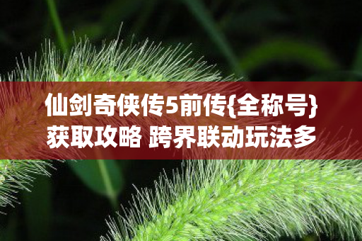获取攻略 跨界联动玩法多图片