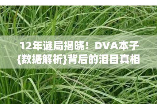 12年谜局揭晓!DVA本子{数据解析}背后的泪目真相 12年谜局揭晓!DVA本子{数据解析}背后的泪目真相