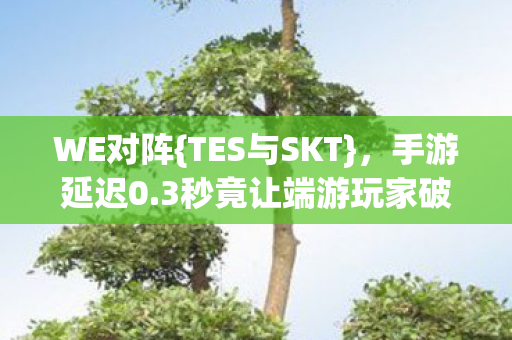 WE对阵{TES与SKT}，手游延迟0.3秒竟让端游玩家破防？