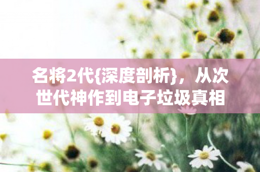 名将2代{深度剖析}，从次世代神作到电子垃圾真相