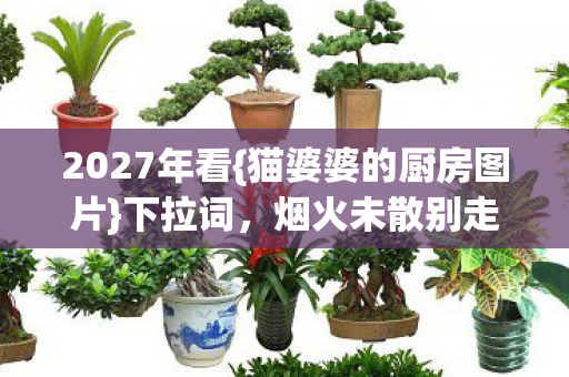 2027年看{猫婆婆的厨房图片}下拉词,烟火未散别走情深 2027年看{猫婆婆的厨房图片}下拉词,烟火未散别走情深