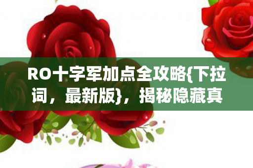 RO十字军加点全攻略{下拉词，最新版}，揭秘隐藏真相！