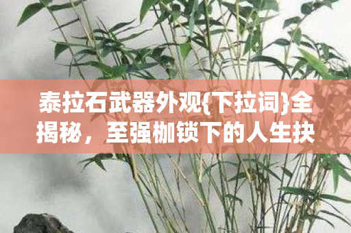 泰拉石武器外观{下拉词}全揭秘，至强枷锁下的人生抉择