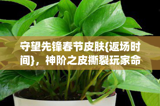 守望先锋春节皮肤{返场时间},神阶之皮撕裂玩家命运层级 守望先锋春节皮肤{返场时间},神阶之皮撕裂玩家命运层级