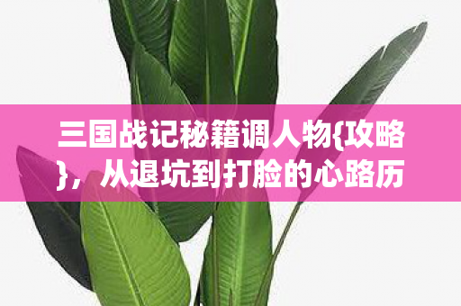 三国战记秘籍调人物{攻略}，从退坑到打脸的心路历程