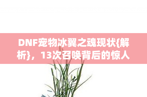 DNF宠物冰翼之魂现状{解析}，13次召唤背后的惊人真相