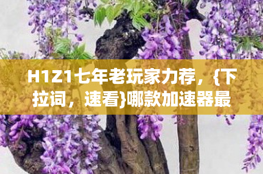 H1Z1七年老玩家力荐,{下拉词,速看}哪款加速器最稳! H1Z1七年老玩家力荐,{下拉词,速看}哪款加速器最稳!