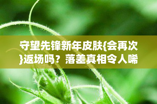守望先锋新年皮肤{会再次}返场吗？落差真相令人唏嘘不已