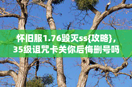 怀旧服1.76毁灭ss{攻略},35级诅咒卡关你后悔删号吗? 怀旧服1.76毁灭ss{攻略},35级诅咒卡关你后悔删号吗?