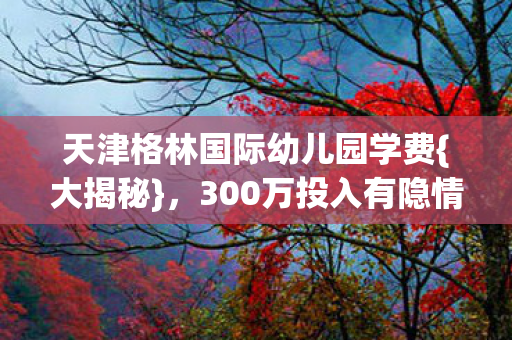 天津格林国际幼儿园学费图片