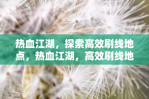 热血江湖,探索高效刷线地点,热血江湖,高效刷线地点全揭秘 热血江湖,探索高效刷线地点,热血江湖,高效刷线地点全揭秘