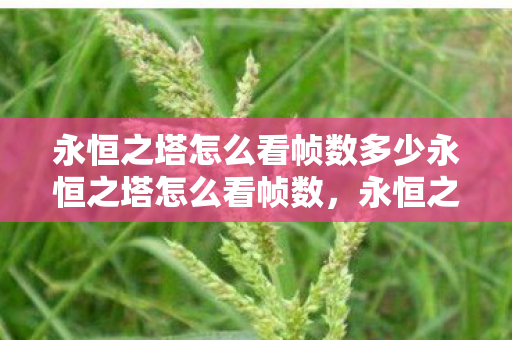 永恒之塔怎么看帧数多少永恒之塔怎么看帧数，永恒之塔查看帧数的方法