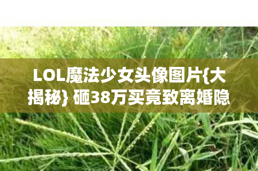 LOL魔法少女头像图片{大揭秘} 砸38万买竟致离婚隐情 LOL魔法少女头像图片{大揭秘} 砸38万买竟致离婚隐情