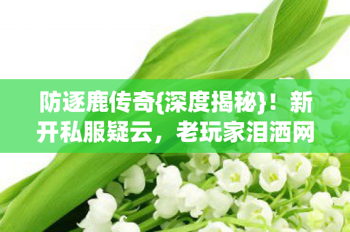 防逐鹿传奇{深度揭秘}！新开私服疑云，老玩家泪洒网吧