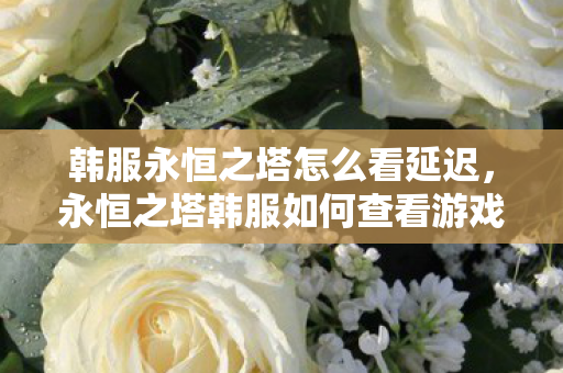 韩服永恒之塔怎么看延迟，永恒之塔韩服如何查看游戏延迟？