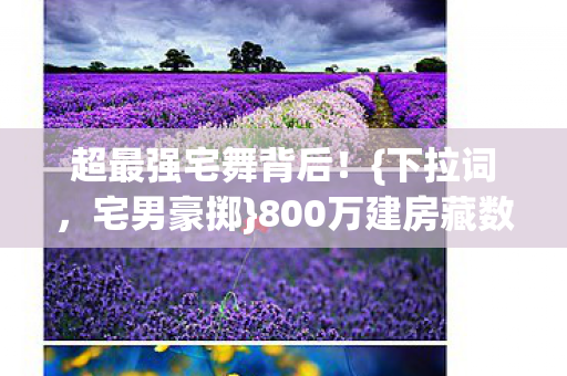 超最强宅舞背后！{下拉词，宅男豪掷}800万建房藏数值玄机