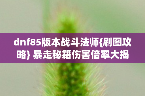 dnf85版本战斗法师{刷图攻略} 暴走秘籍伤害倍率大揭秘