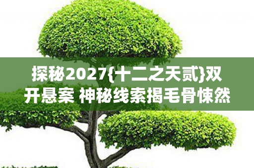 探秘2027{十二之天贰}双开悬案 神秘线索揭毛骨悚然真相