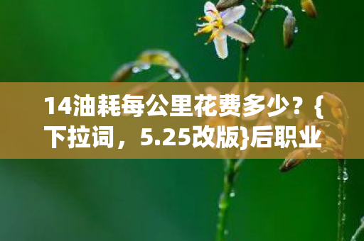 14油耗每公里花费多少图片