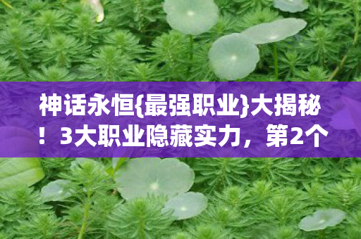 神话永恒{最强职业}大揭秘！3大职业隐藏实力，第2个超逆天