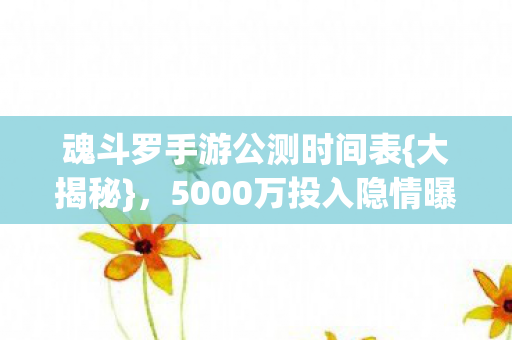 魂斗罗手游公测时间表{大揭秘}，5000万投入隐情曝光