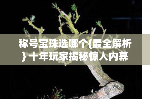 称号宝珠选哪个{最全解析} 十年玩家揭秘惊人内幕