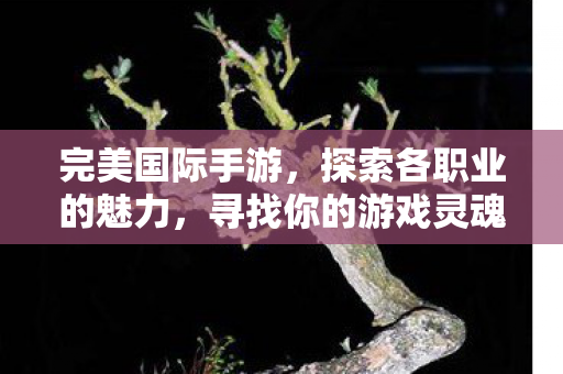 完美国际手游，探索各职业的魅力，寻找你的游戏灵魂，探索完美国际手游，解锁你的游戏灵魂之旅